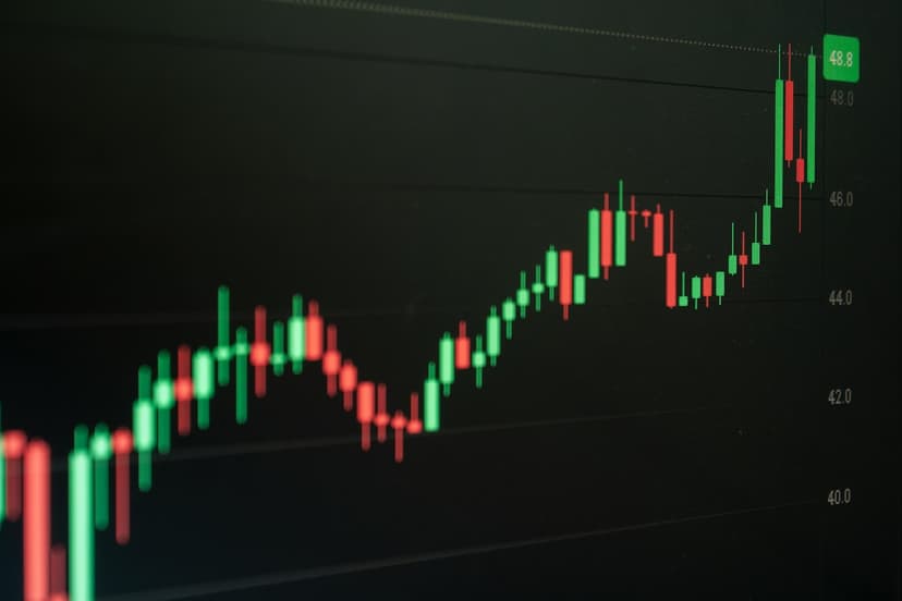 Effiziente Softwarelösungen für CBD B2B