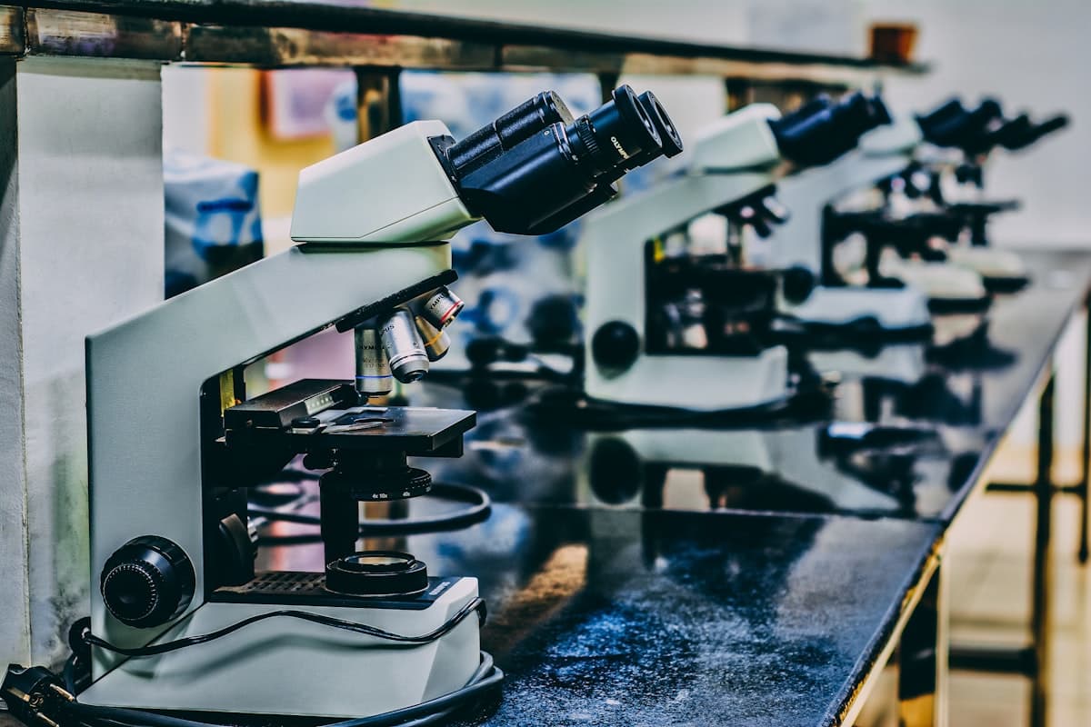 CBD B2B-Zertifizierungen: Anleitung