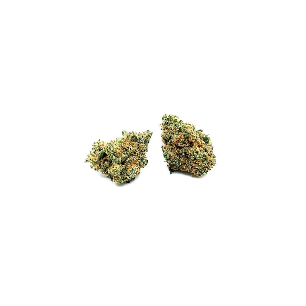 Smallbuds Indoor