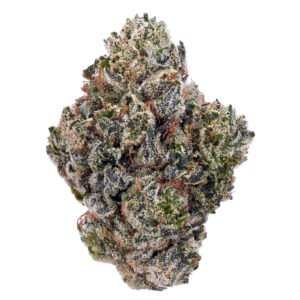 Gorilla Glue