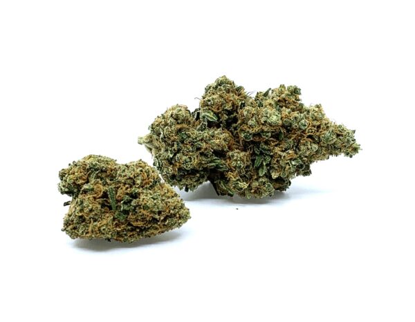 Critical Mass