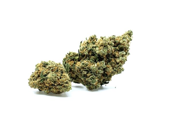 Jack Herer