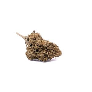Cherry Wine CBD