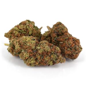 Girl Scout Cookies 10-OH-HHC