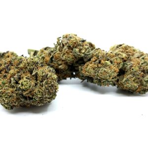 Mango Kush 10-OH-HHC