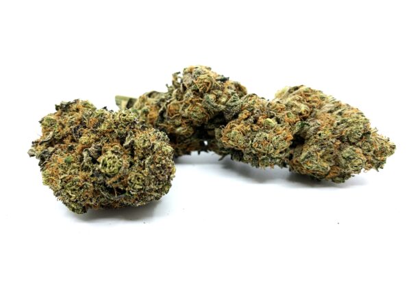 Mango Kush 10-OH-HHC