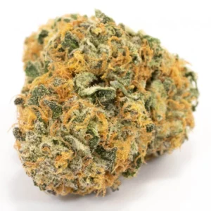 Orange Bud 10-OH-HHC