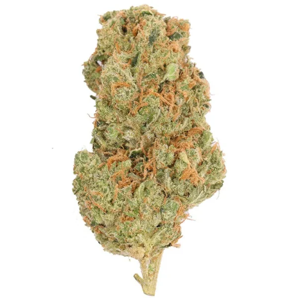 Sour Diesel 10-OH-HHC